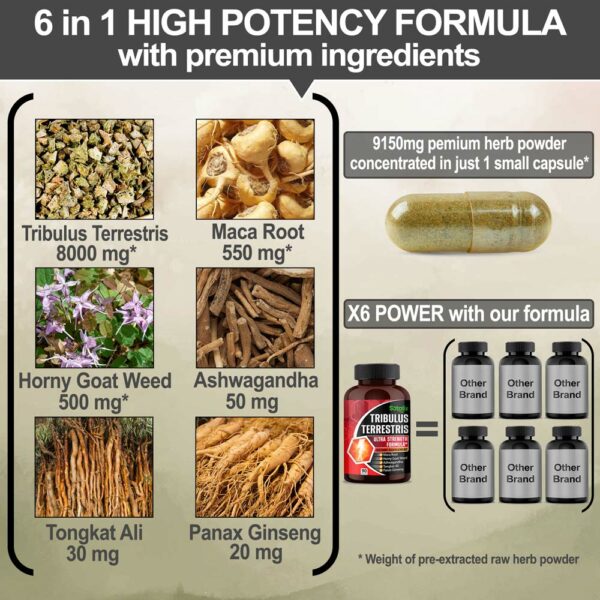 Premium Tribulus Terrestris Extract 95 Total Saponin 9150 mg Ultra